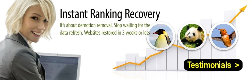 Google Penguin Recovery Service
